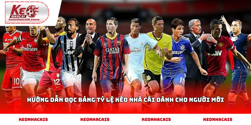 Hướng dẫn đọc bảng tỷ lệ kèo nhà cái dành cho người mới